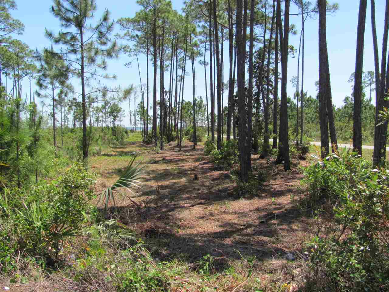 1501 Highway 98,CARRABELLE,Florida 32322,Lots and land,Highway 98,1,364085