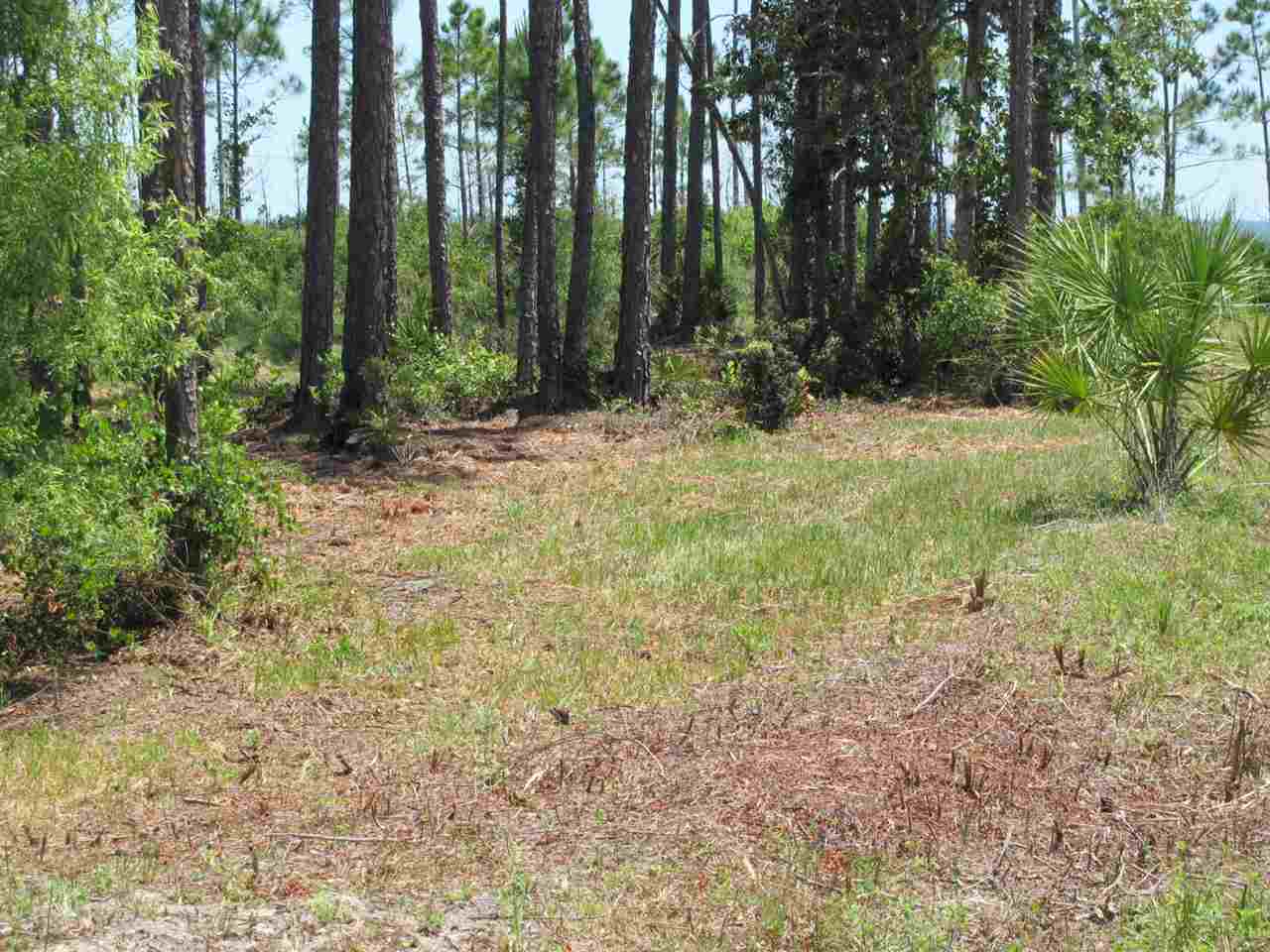 1501 Highway 98,CARRABELLE,Florida 32322,Lots and land,Highway 98,1,364085