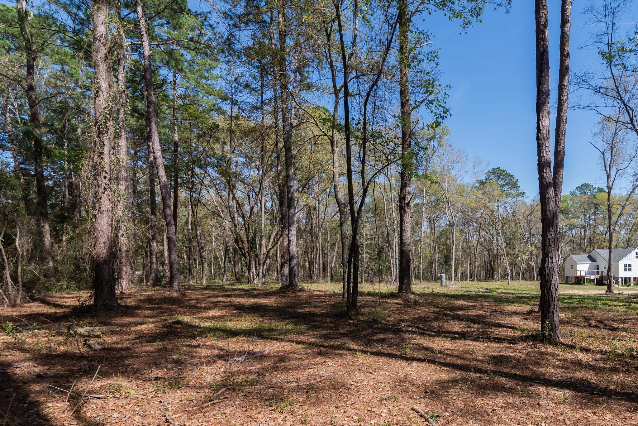 0 Star Gate,TALLAHASSEE,Florida 32308,Lots and land,Star Gate,369799
