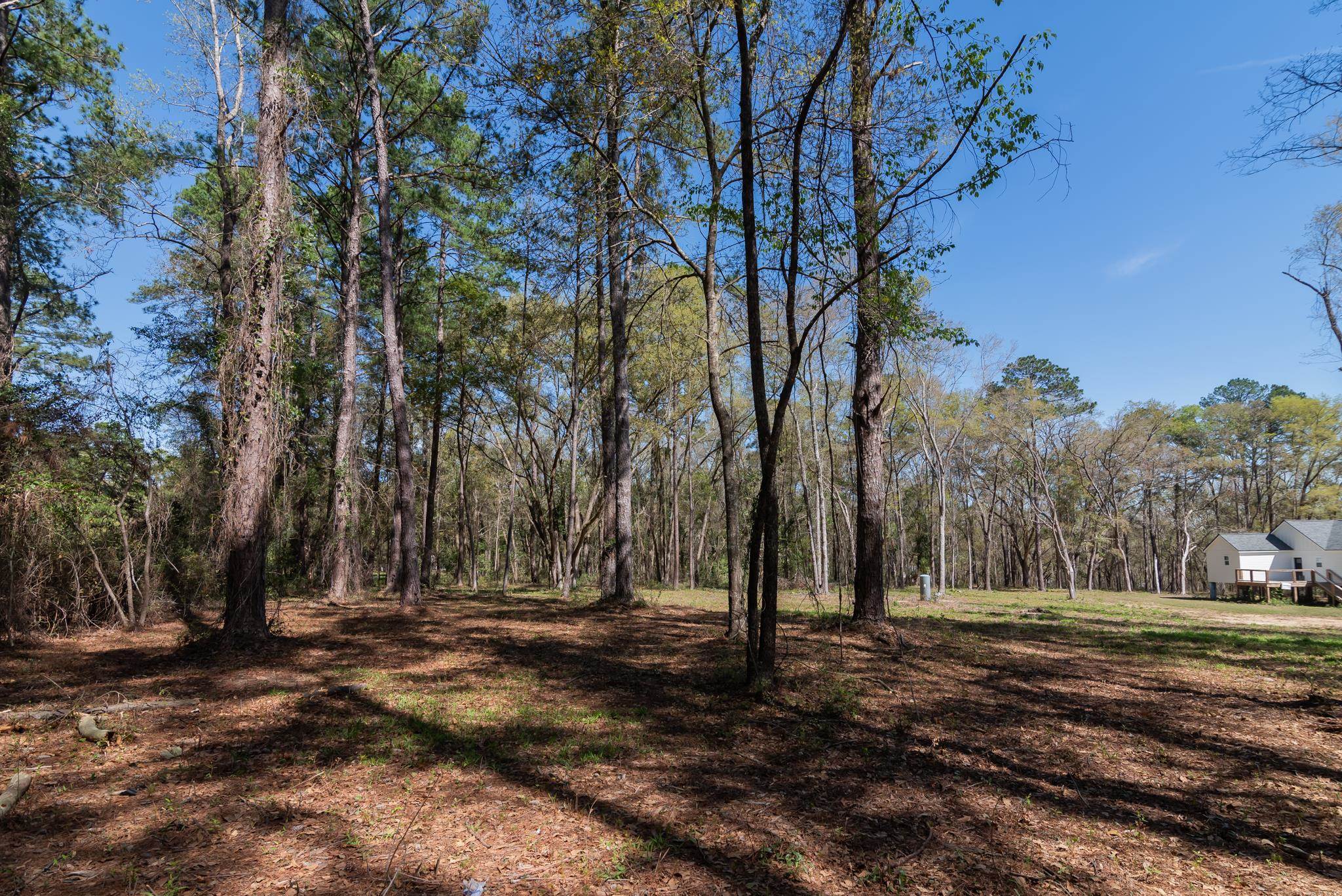 0 Star Gate,TALLAHASSEE,Florida 32308,Lots and land,Star Gate,369799
