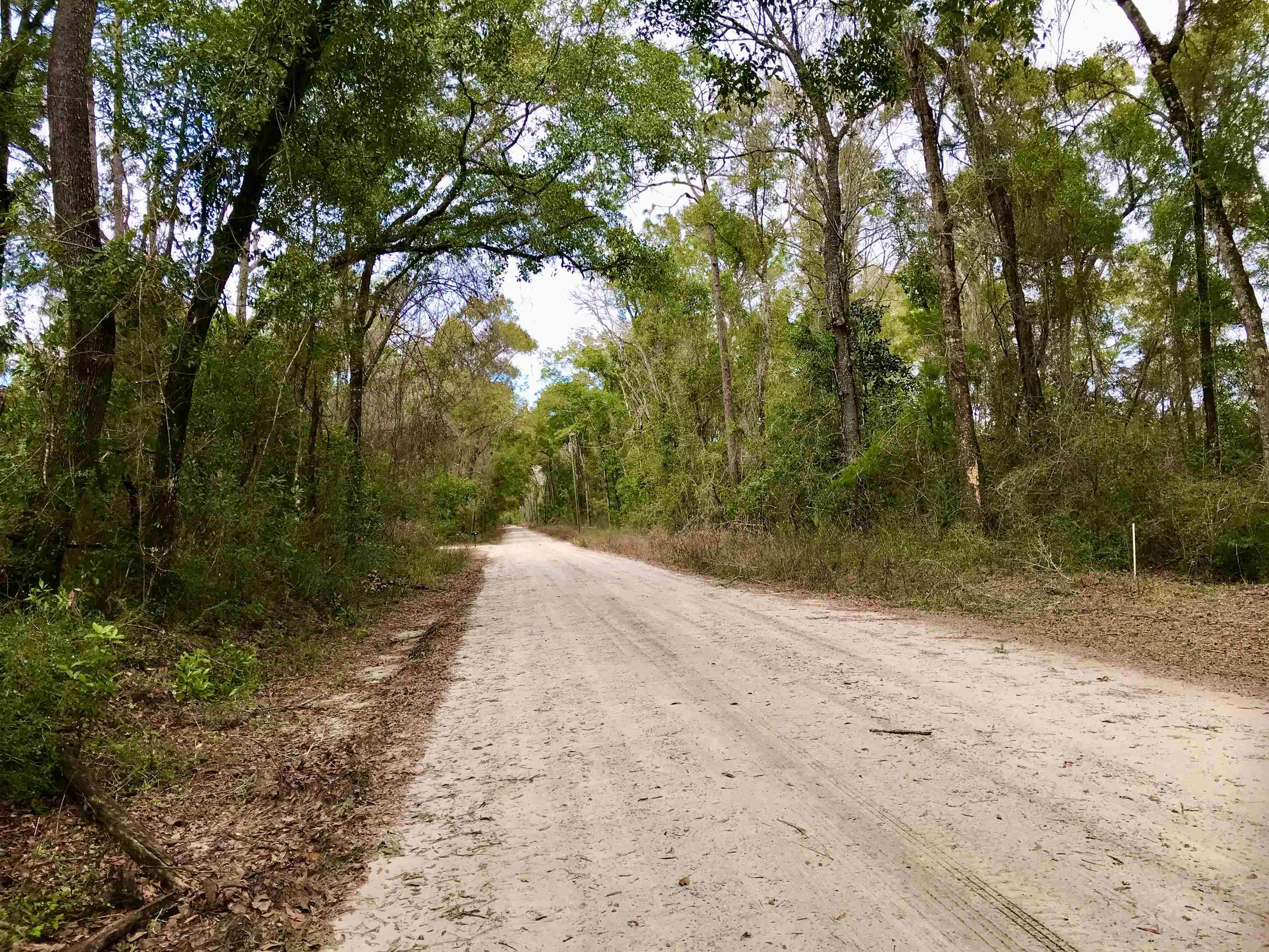 55 Iroquois Road,CRAWFORDVILLE,Florida 32327,3 Bedrooms Bedrooms,2 BathroomsBathrooms,Detached single family,55 Iroquois Road,367361