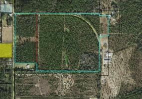 xx Preservation,CRAWFORDVILLE,Florida 32327,Lots and land,Preservation,364150