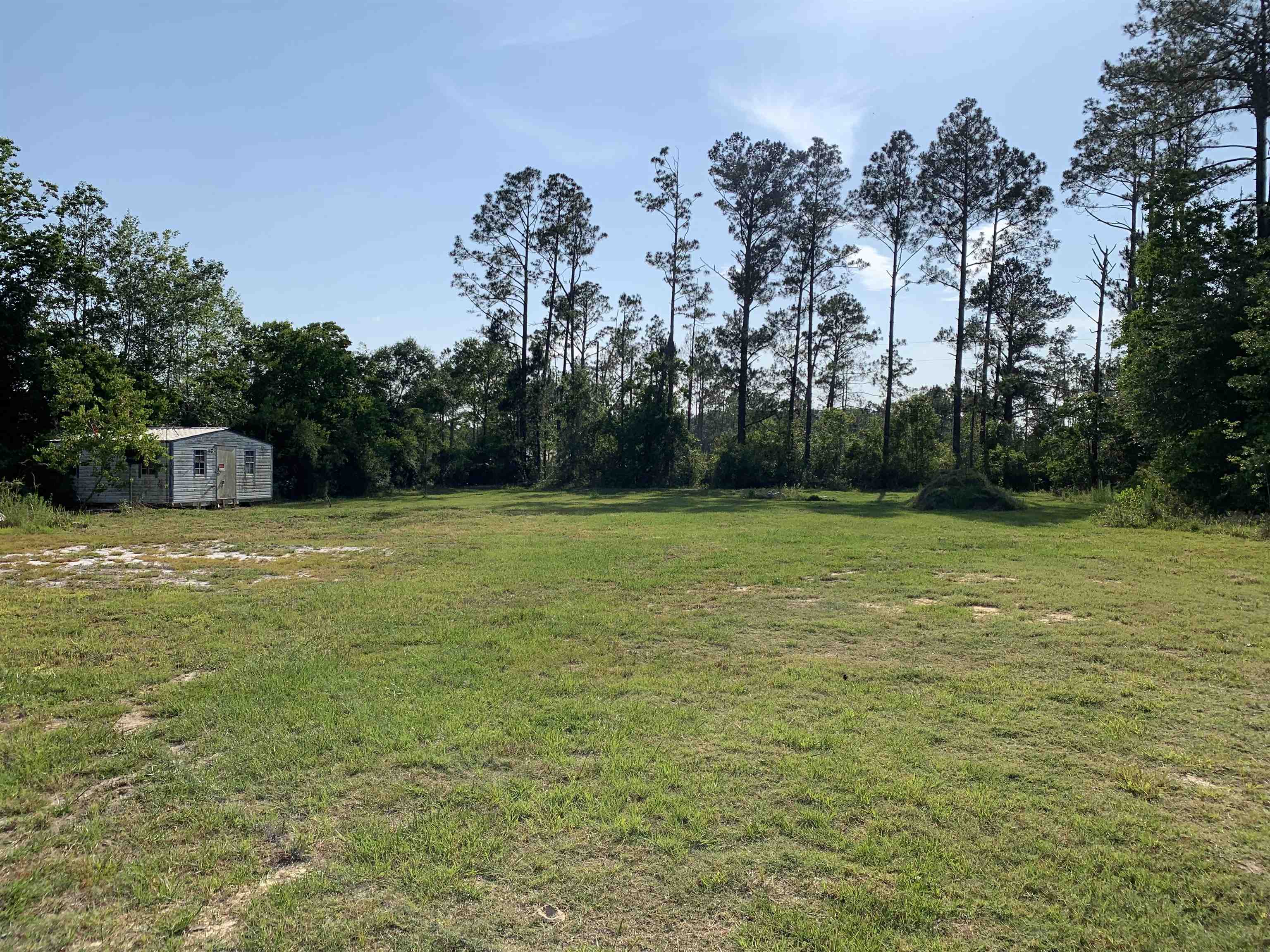 291 James Pitts Drive,WEWAHITCHKA,Florida 32465,3 Bedrooms Bedrooms,2 BathroomsBathrooms,Manuf/mobile home,291 James Pitts Drive,365742