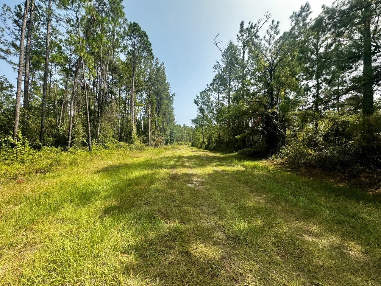 1404 Pacific,GREENVILLE,Florida 32331,Lots and land,Pacific,364212