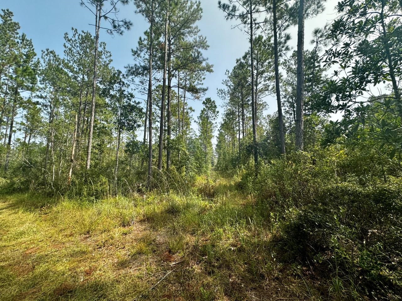 1404 Pacific,GREENVILLE,Florida 32331,Lots and land,Pacific,364212