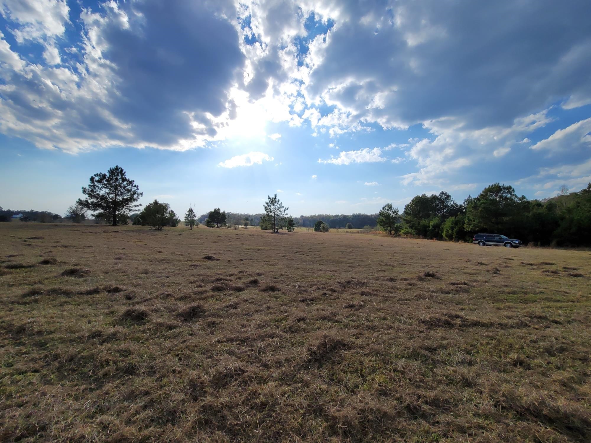 Vacant Rolling Hills,MADISON COUNTY,Florida 32340,Lots and land,Rolling Hills,367791