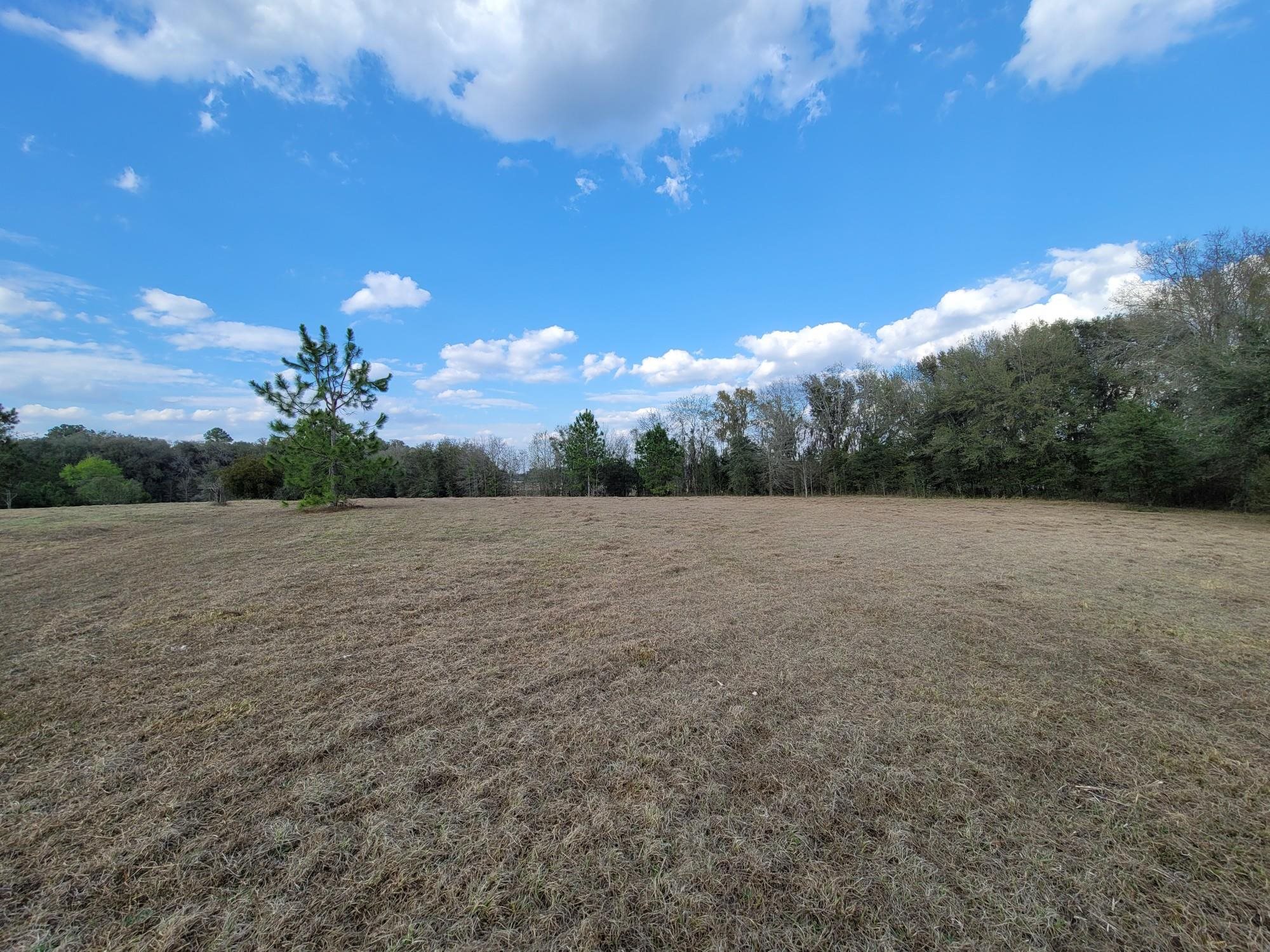 Vacant Rolling Hills,MADISON COUNTY,Florida 32340,Lots and land,Rolling Hills,367791