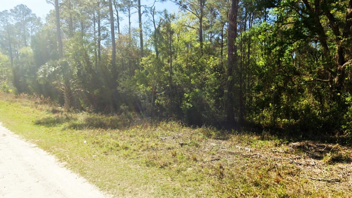 Location Re,PERRY,Florida 32348,Lots and land,Location Re,364372