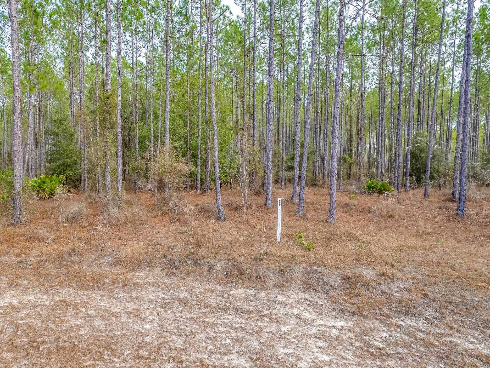 XX Trotting Horse,TALLAHASSEE,Florida 32305,Lots and land,Trotting Horse,367813