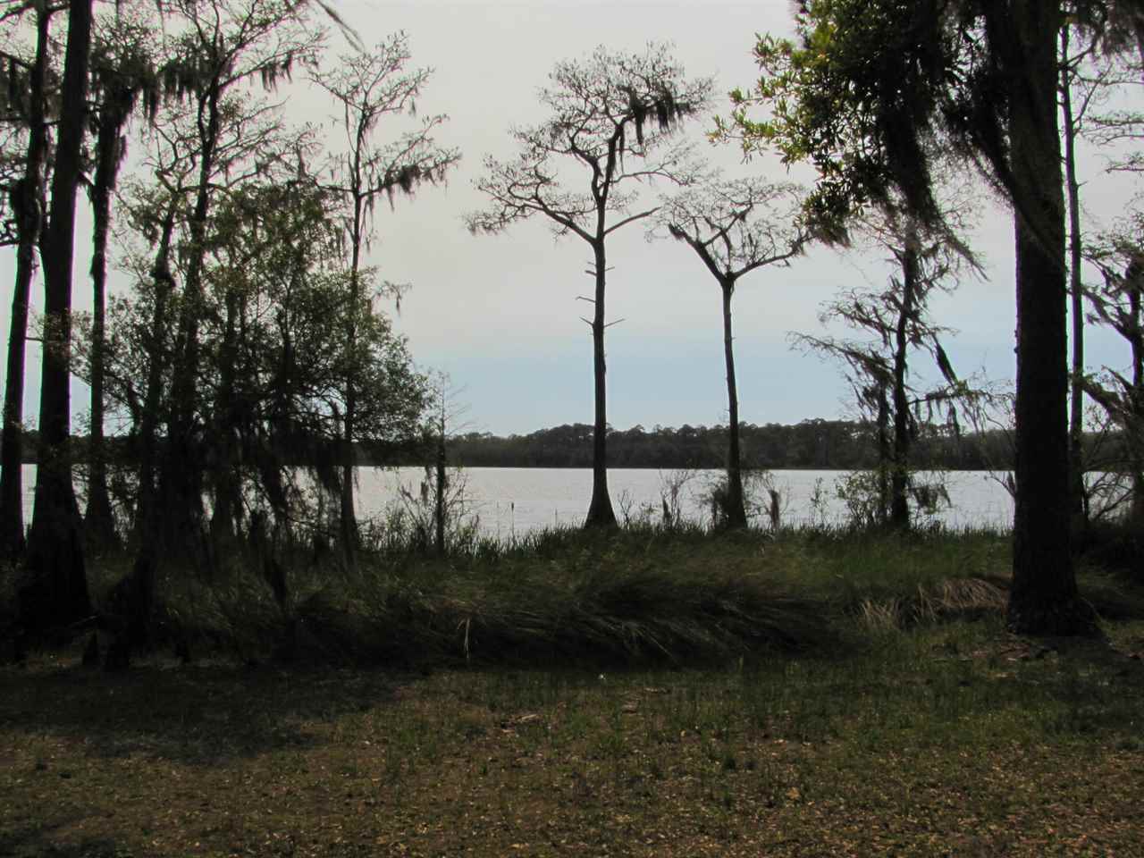 Lucy,PANACEA,Florida 32346,Lots and land,Lucy,364378