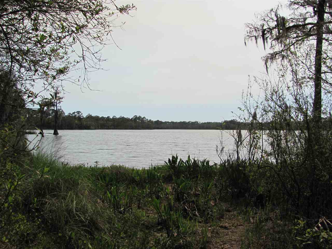 Lucy,PANACEA,Florida 32346,Lots and land,Lucy,364378
