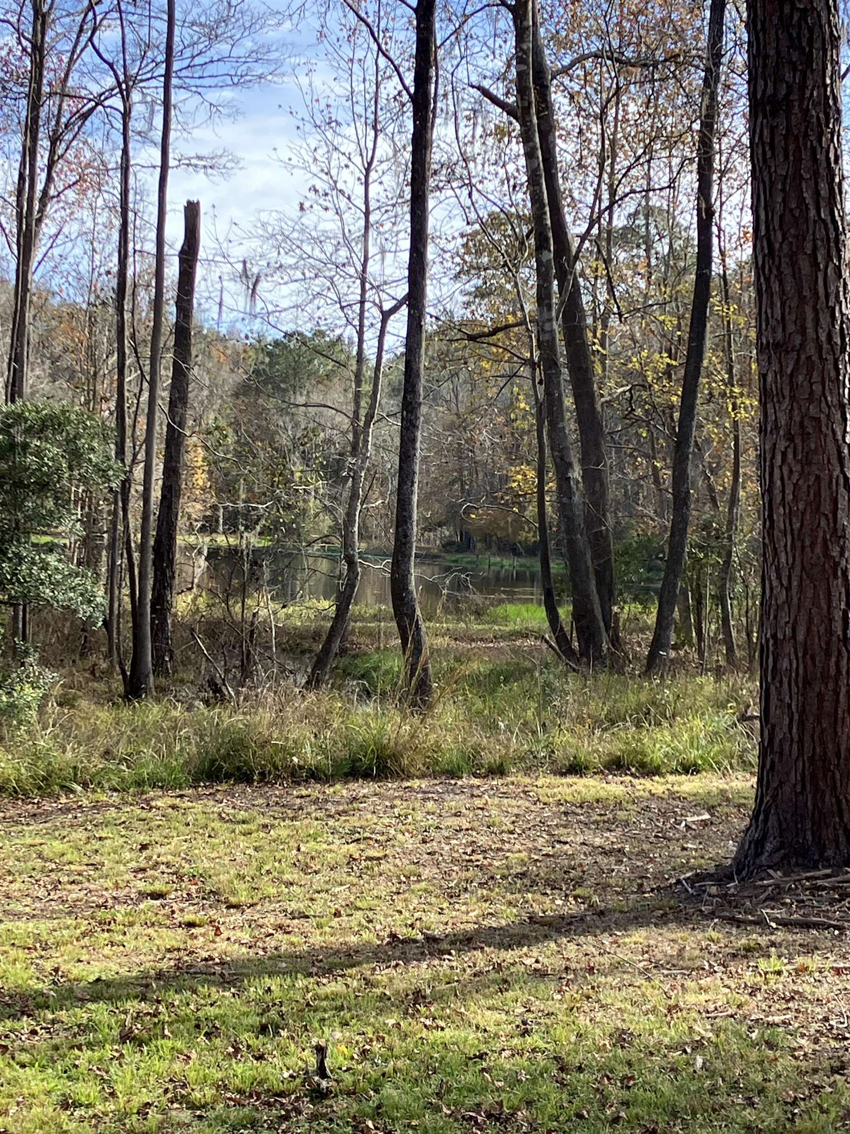 xxx Two Pond,TALLAHASSEE,Florida 32312,Lots and land,Two Pond,367835