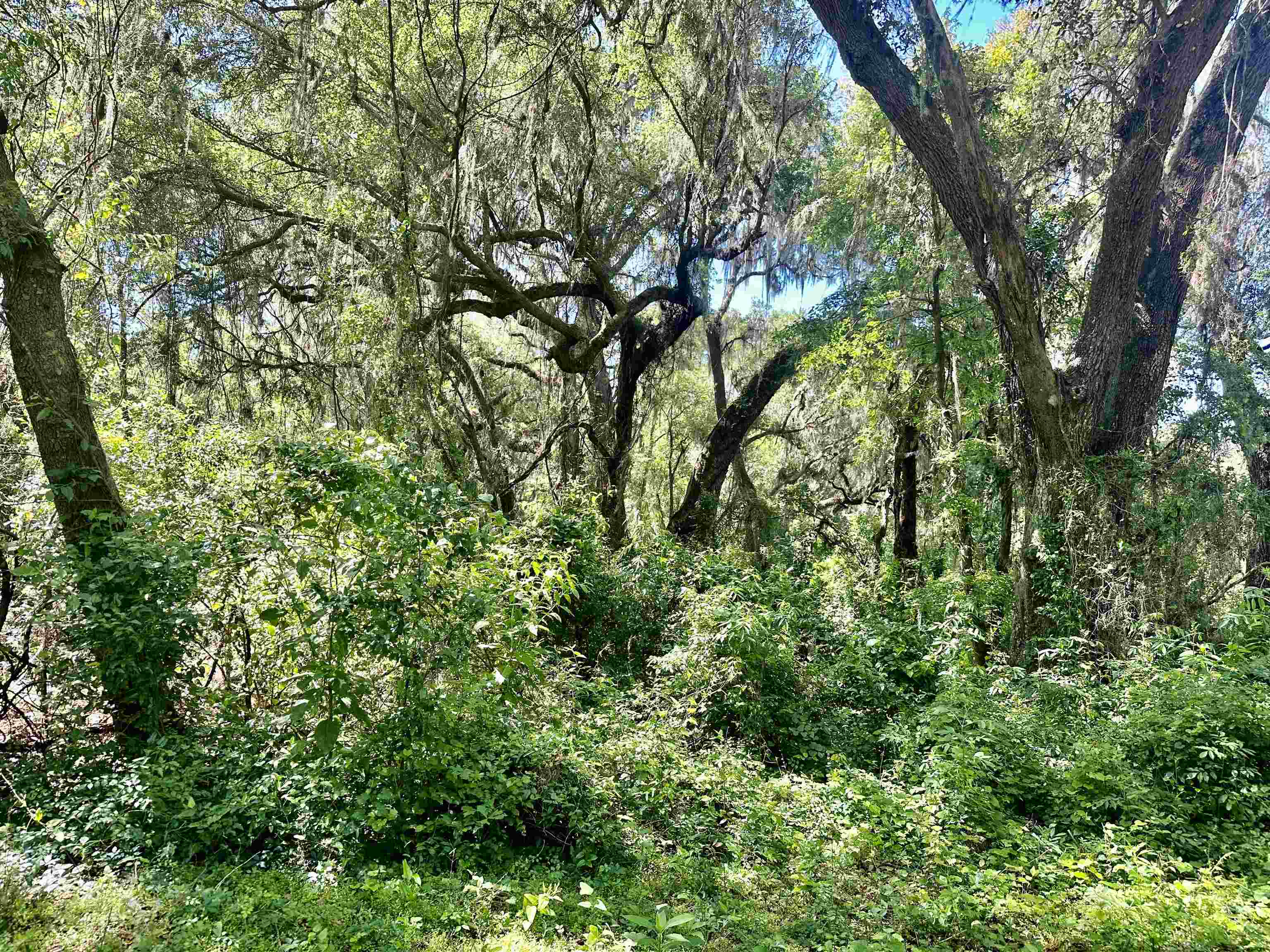 000 Rocky Ford,MADISON,Florida 32340,Lots and land,Rocky Ford,364622