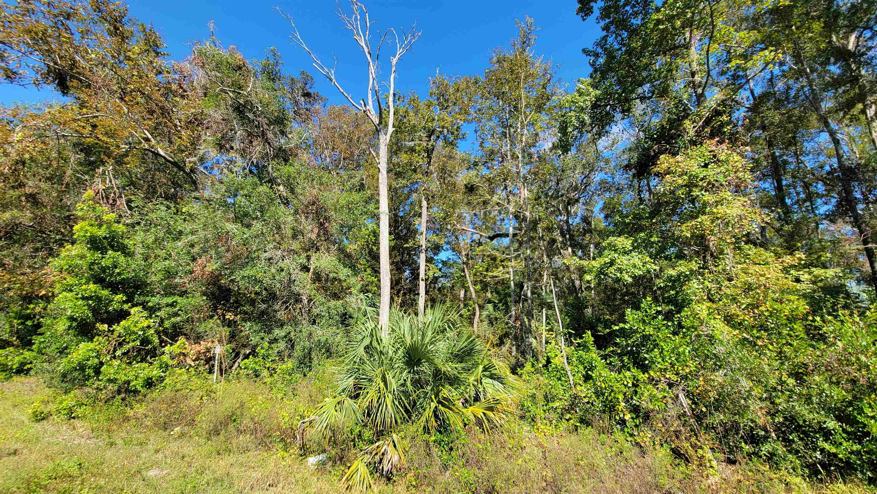 Vacant 3.13 US Highway 19,OTHER FLORIDA,Florida 32680,Lots and land,US Highway 19,364650