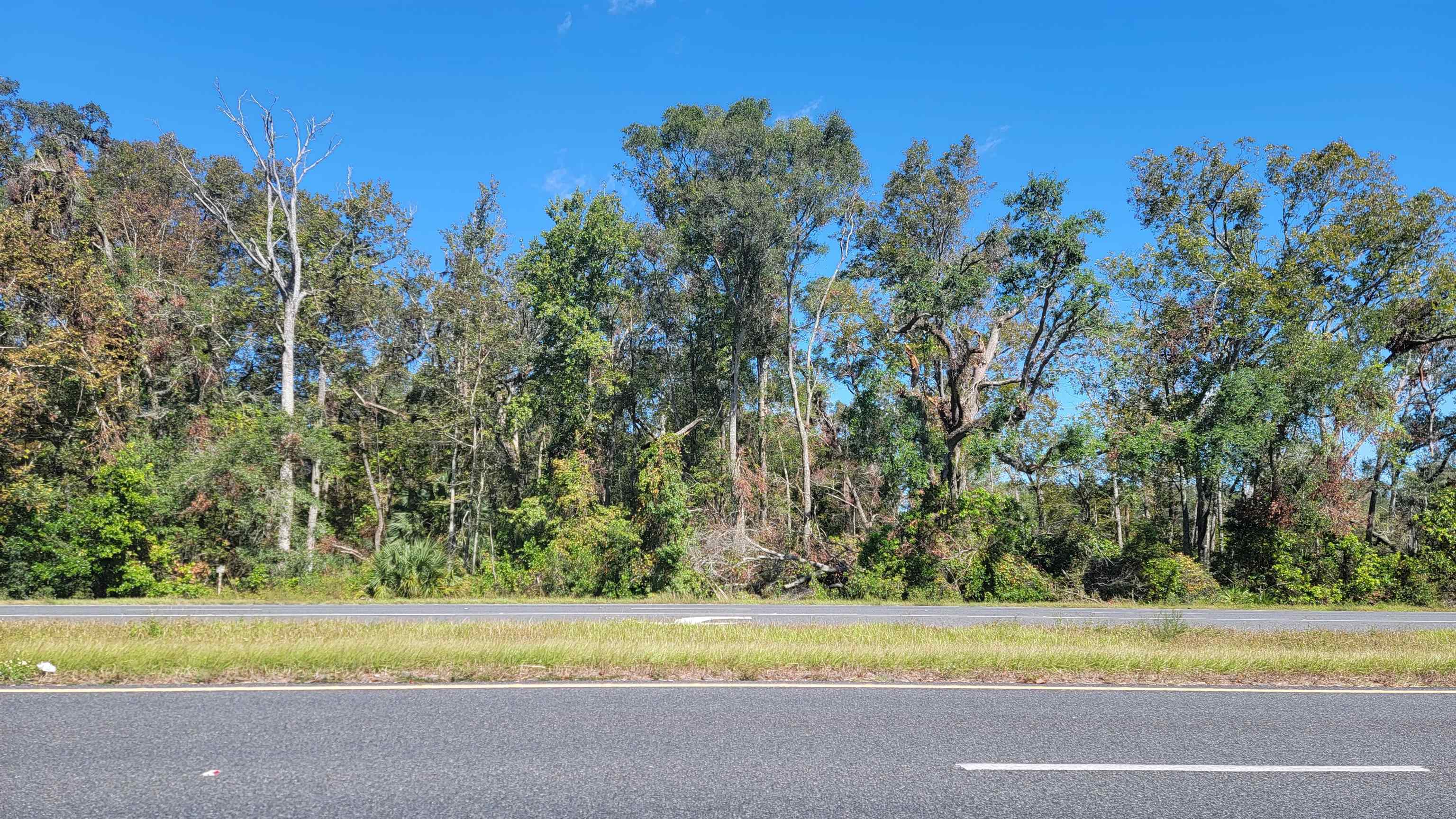 Vacant 3.13 US Highway 19,OTHER FLORIDA,Florida 32680,Lots and land,US Highway 19,364650