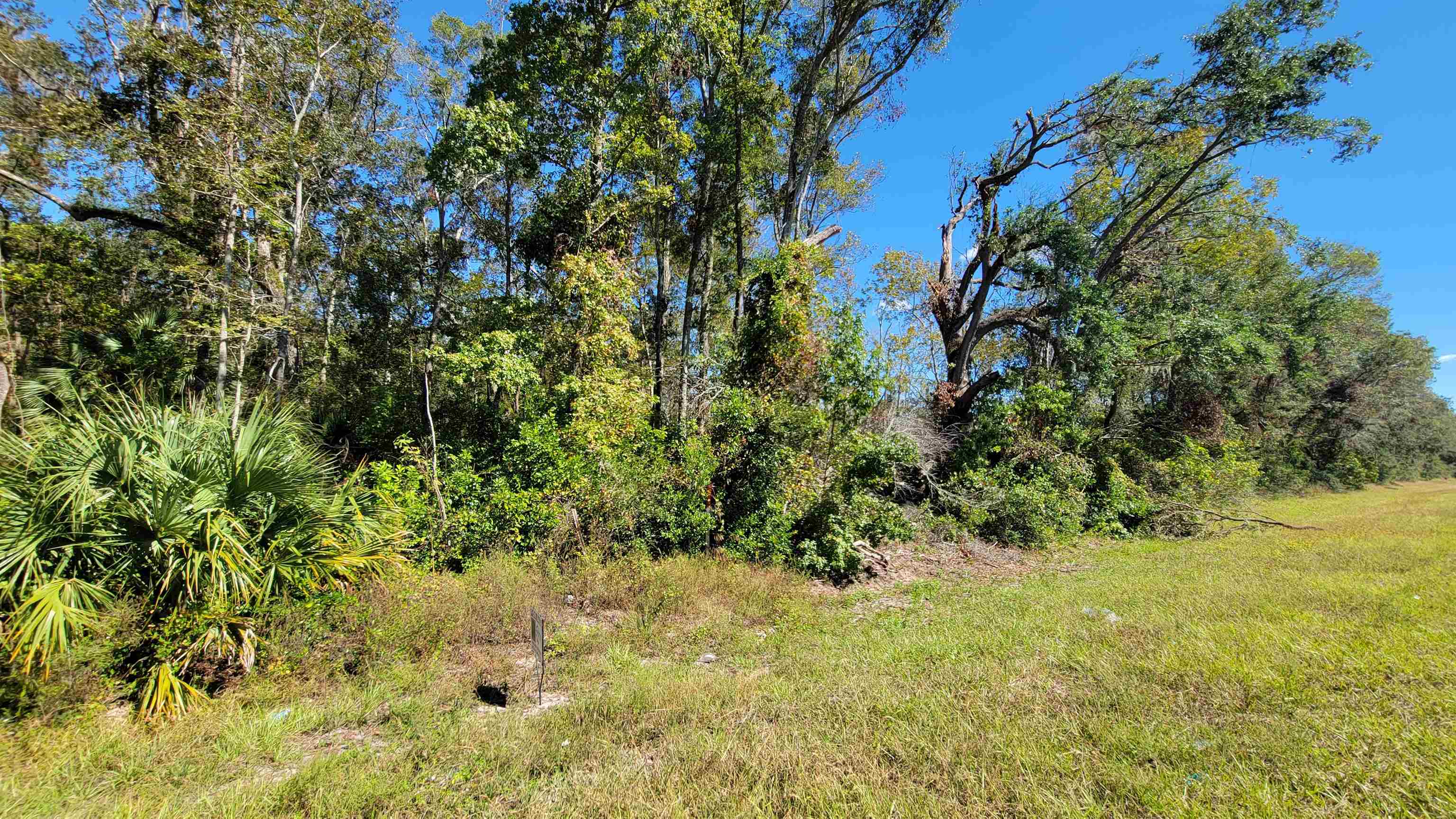 Vacant 3.13 US Highway 19,OTHER FLORIDA,Florida 32680,Lots and land,US Highway 19,364650