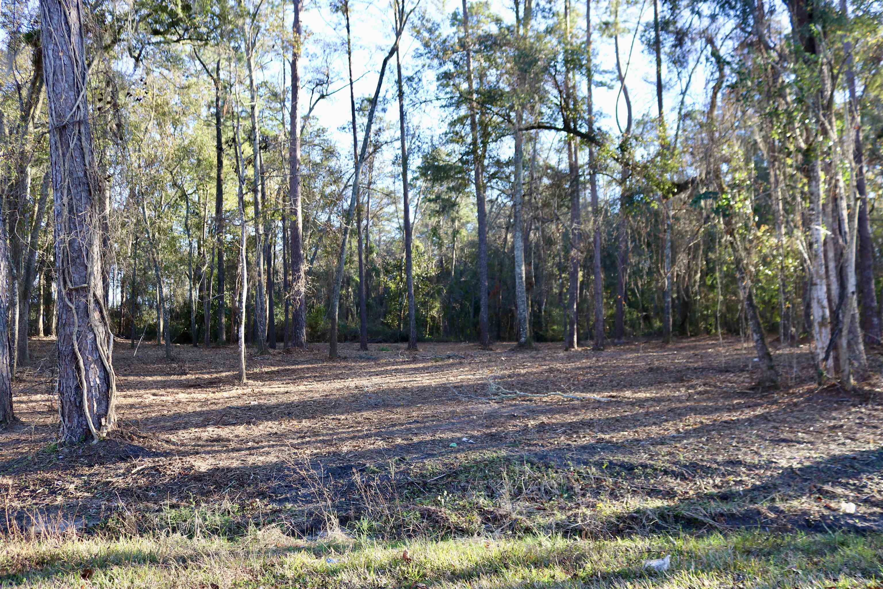 XX SHIVER,MONTICELLO,Florida 32345,Lots and land,SHIVER,367916