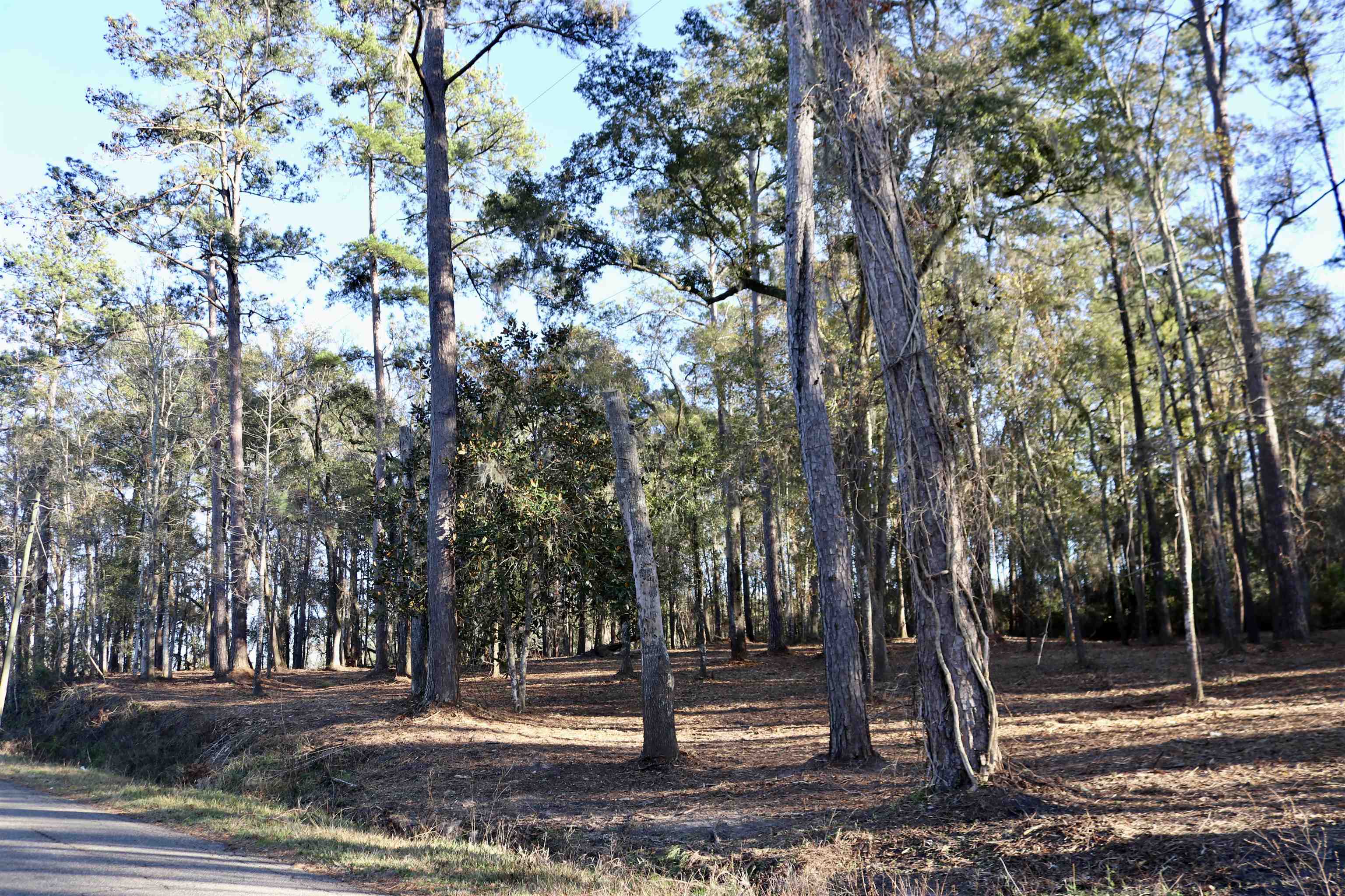 XX SHIVER,MONTICELLO,Florida 32345,Lots and land,SHIVER,367916