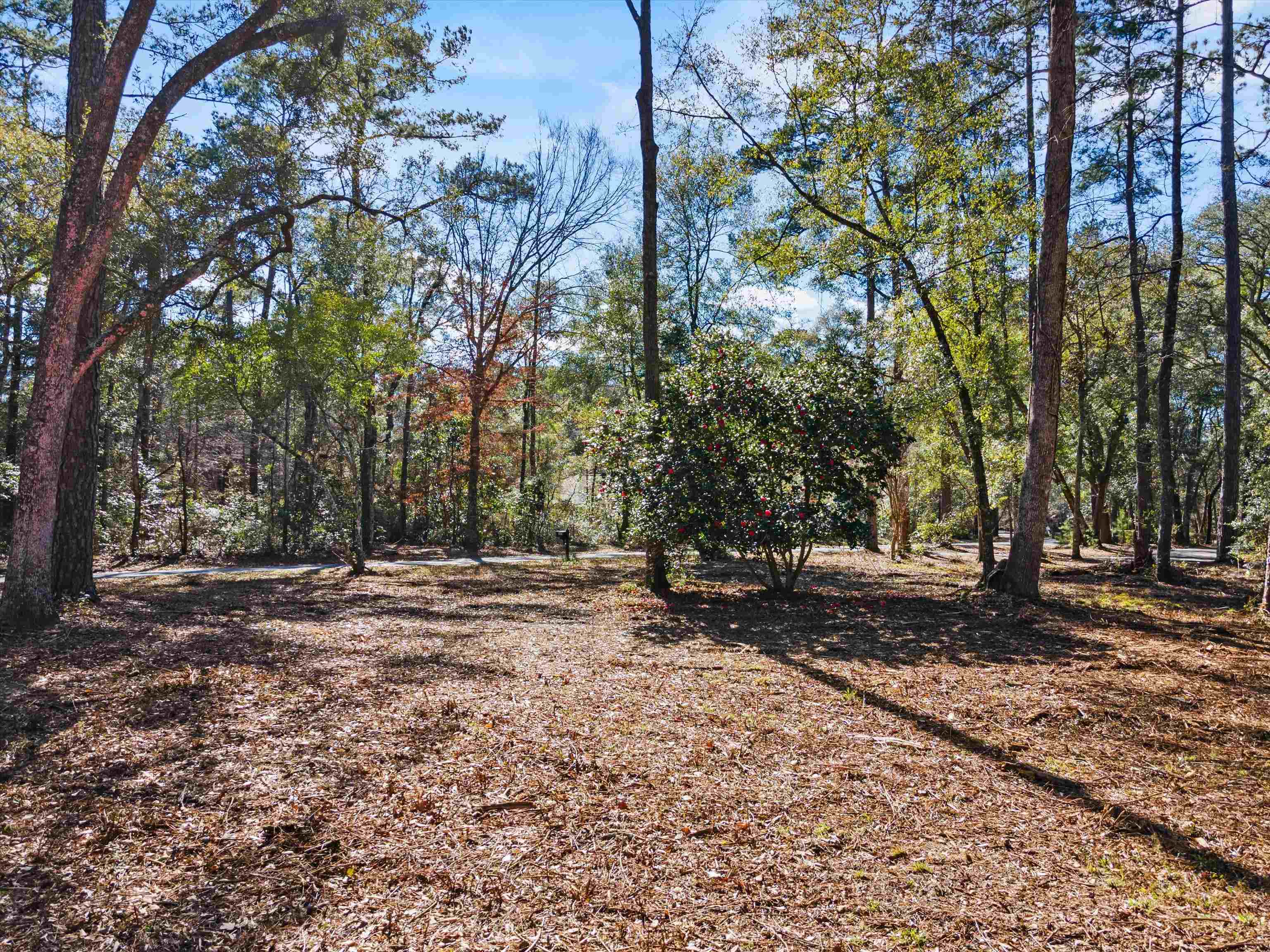 1600 Beaver Creek,HAVANA,Florida 32333,Lots and land,Beaver Creek,367943