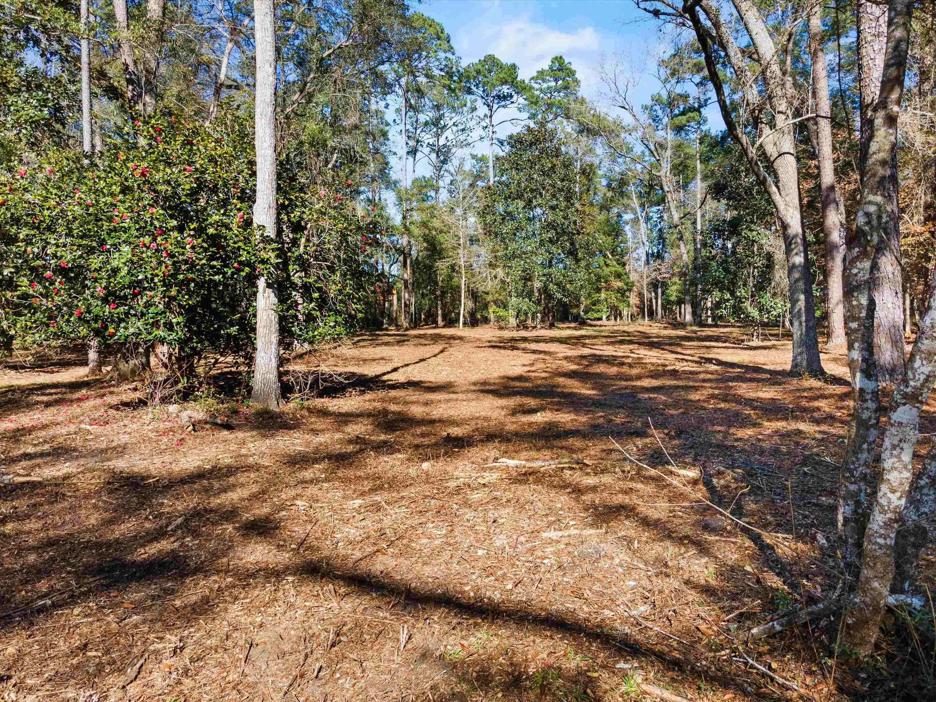 1600 Beaver Creek,HAVANA,Florida 32333,Lots and land,Beaver Creek,367943