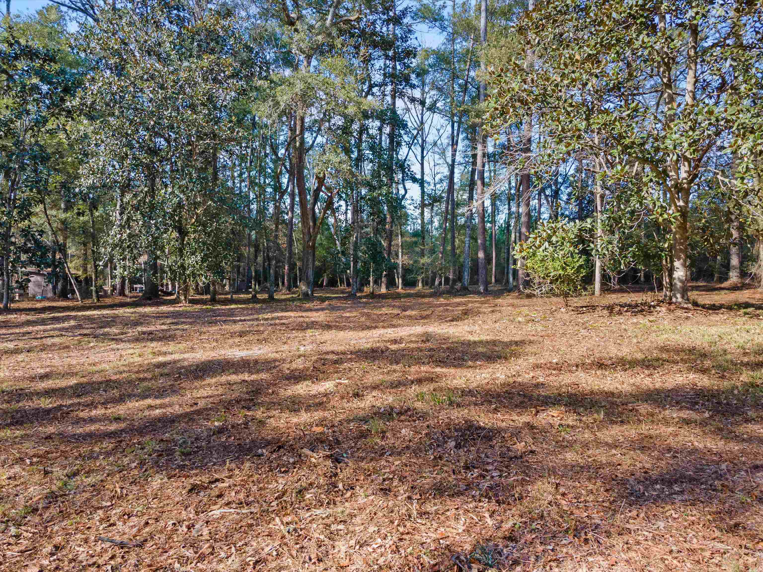 1600 Beaver Creek,HAVANA,Florida 32333,Lots and land,Beaver Creek,367943