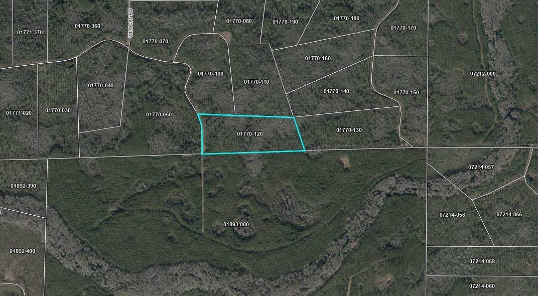 TBD Lot 12 Wildcat,PERRY,Florida 32348,Lots and land,Wildcat,364808
