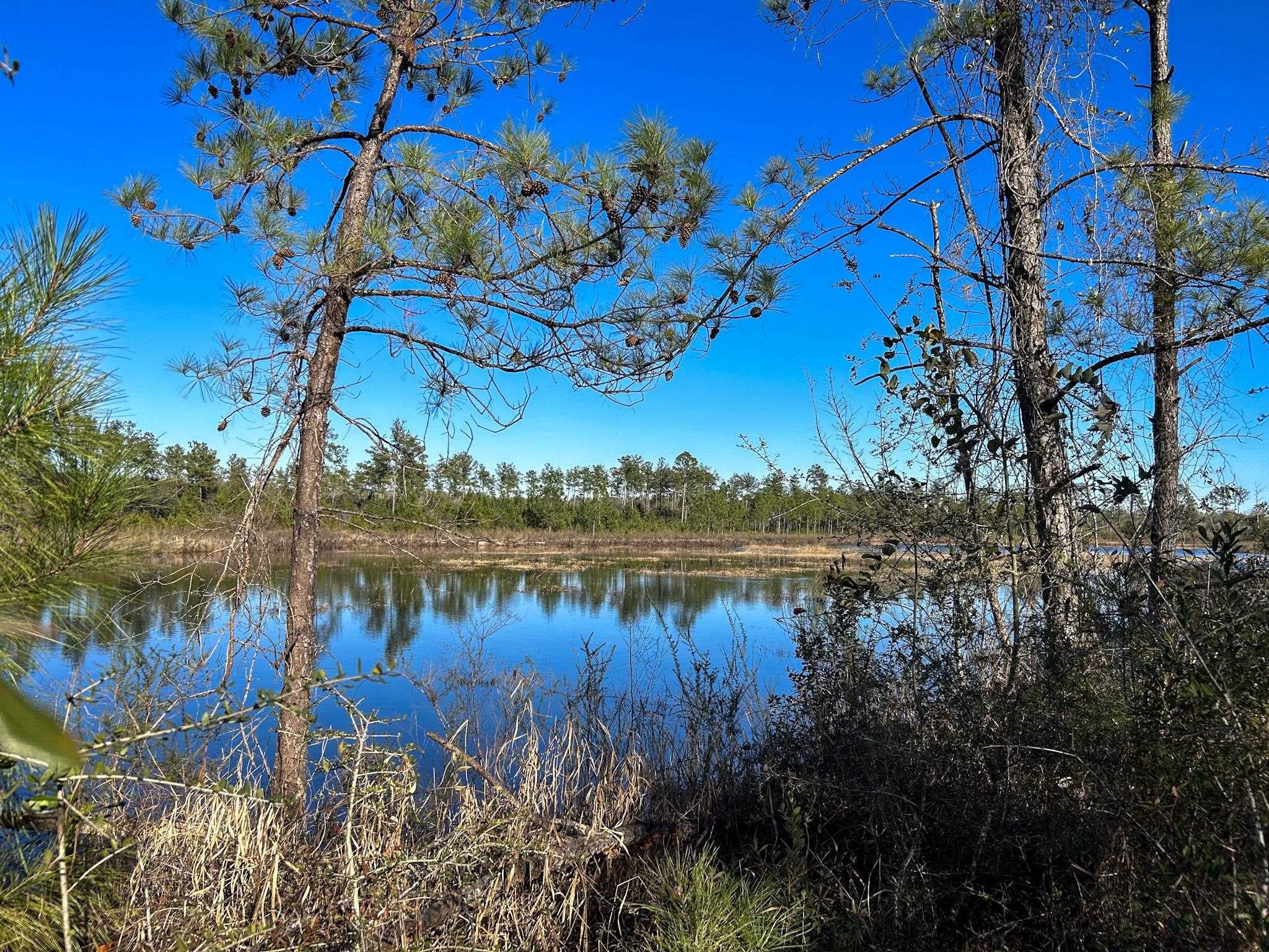 0 Hasty Pond,MARIANNA,Florida 32448,Lots and land,Hasty Pond,354813