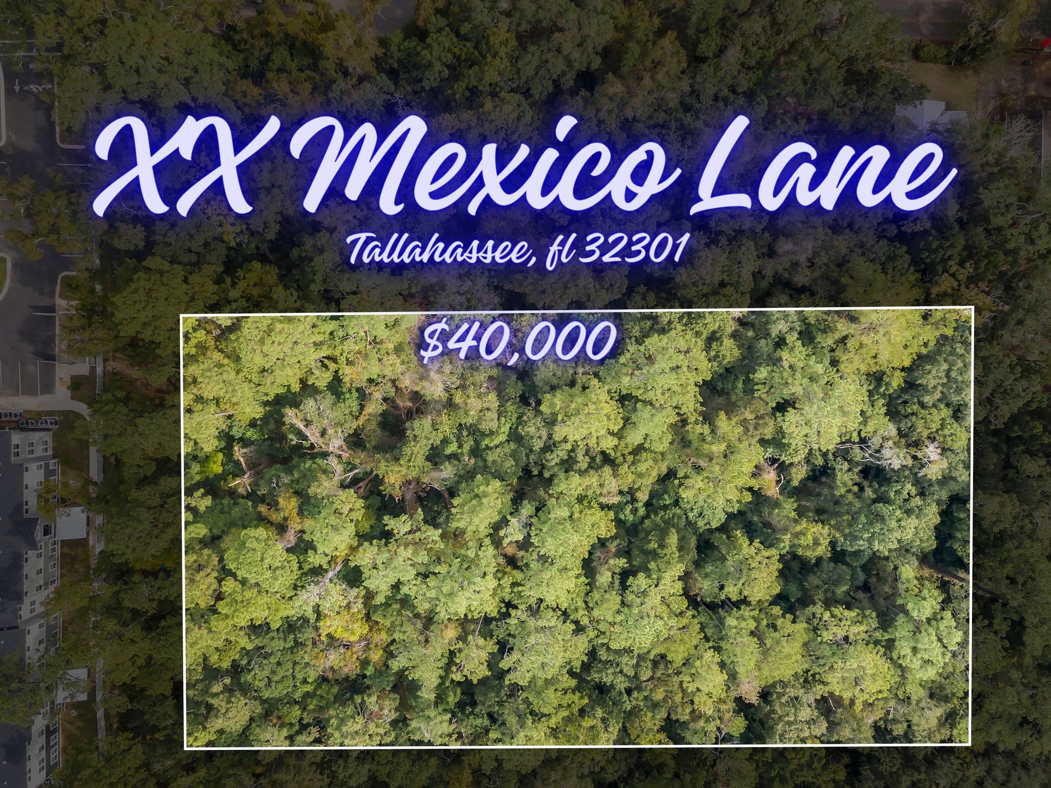 XXX Mexico Lane,TALLAHASSEE,Florida 32301,Lots and land,Mexico Lane,364863