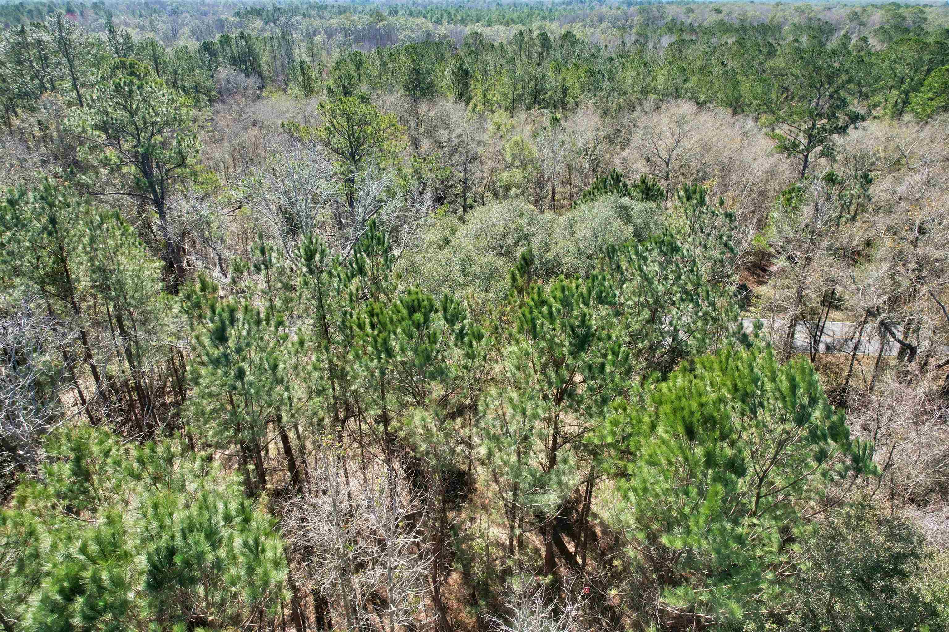 2894 Overstreet,GREENVILLE,Florida 32331,Lots and land,Overstreet,368051
