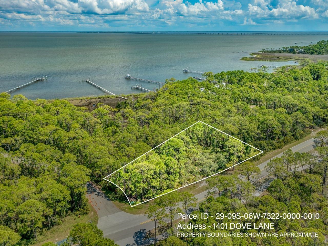 1401 Dove,ST GEORGE ISLAN,Florida 32328,Lots and land,Dove,368169