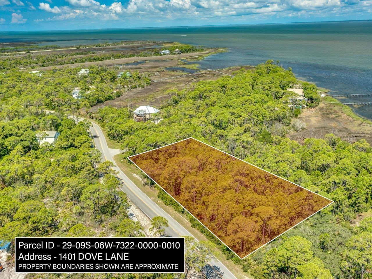 1401 Dove,ST GEORGE ISLAN,Florida 32328,Lots and land,Dove,368169