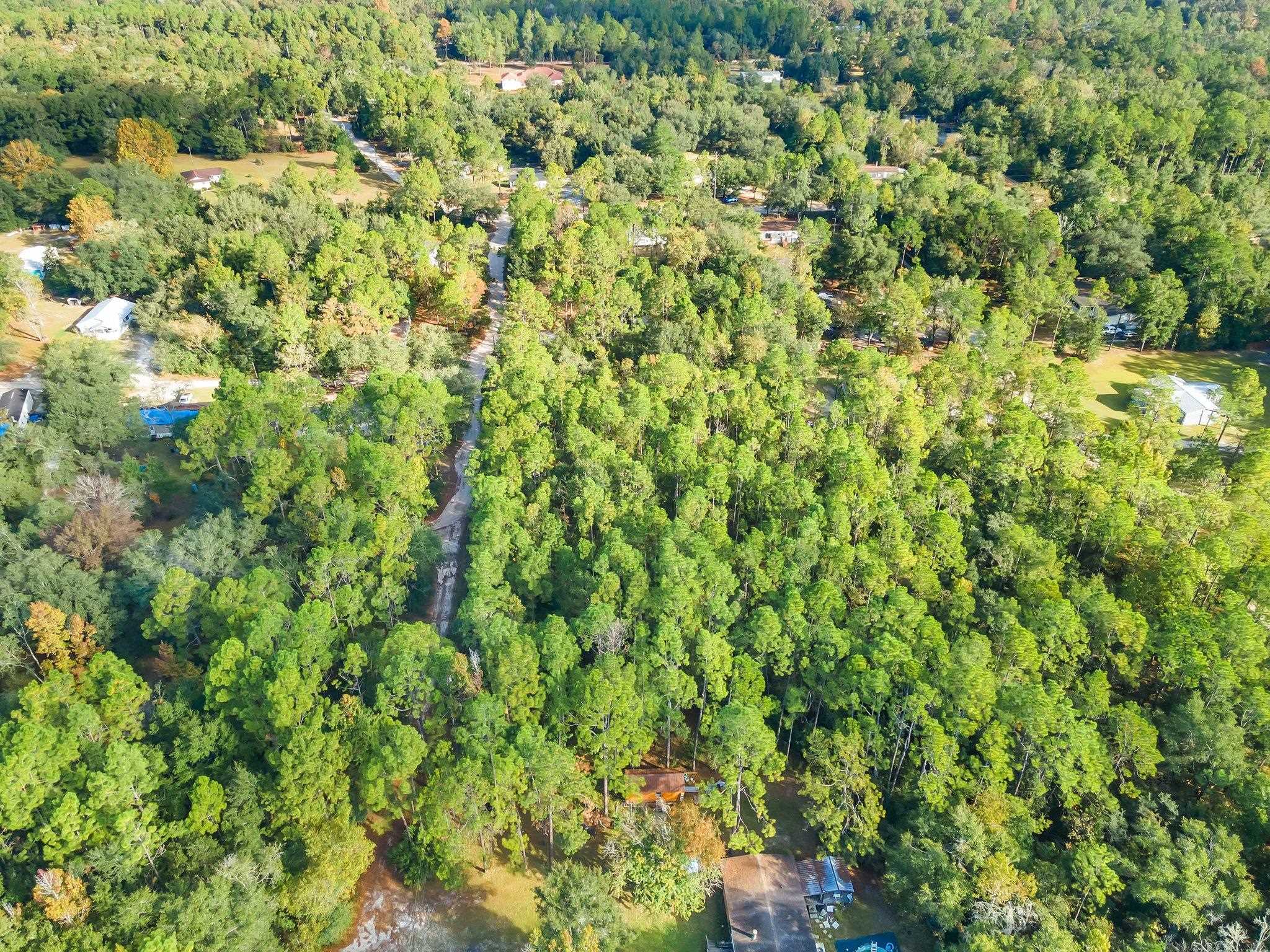 8364 Wild Berry,TALLAHASSEE,Florida 32305,Lots and land,Wild Berry,365014