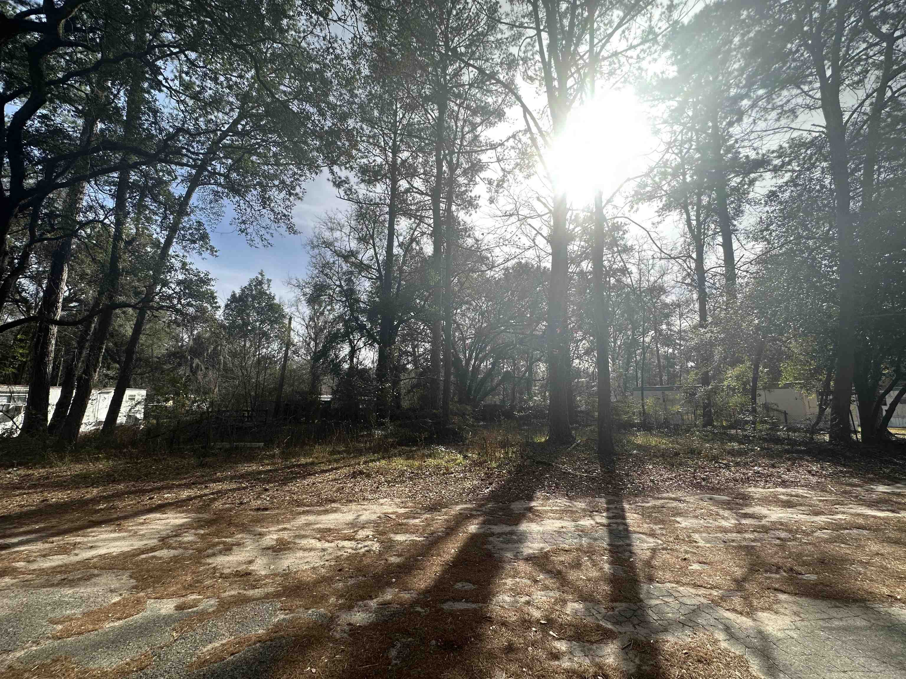 4321 Conifer,TALLAHASSEE,Florida 32304-2754,Lots and land,Conifer,368227