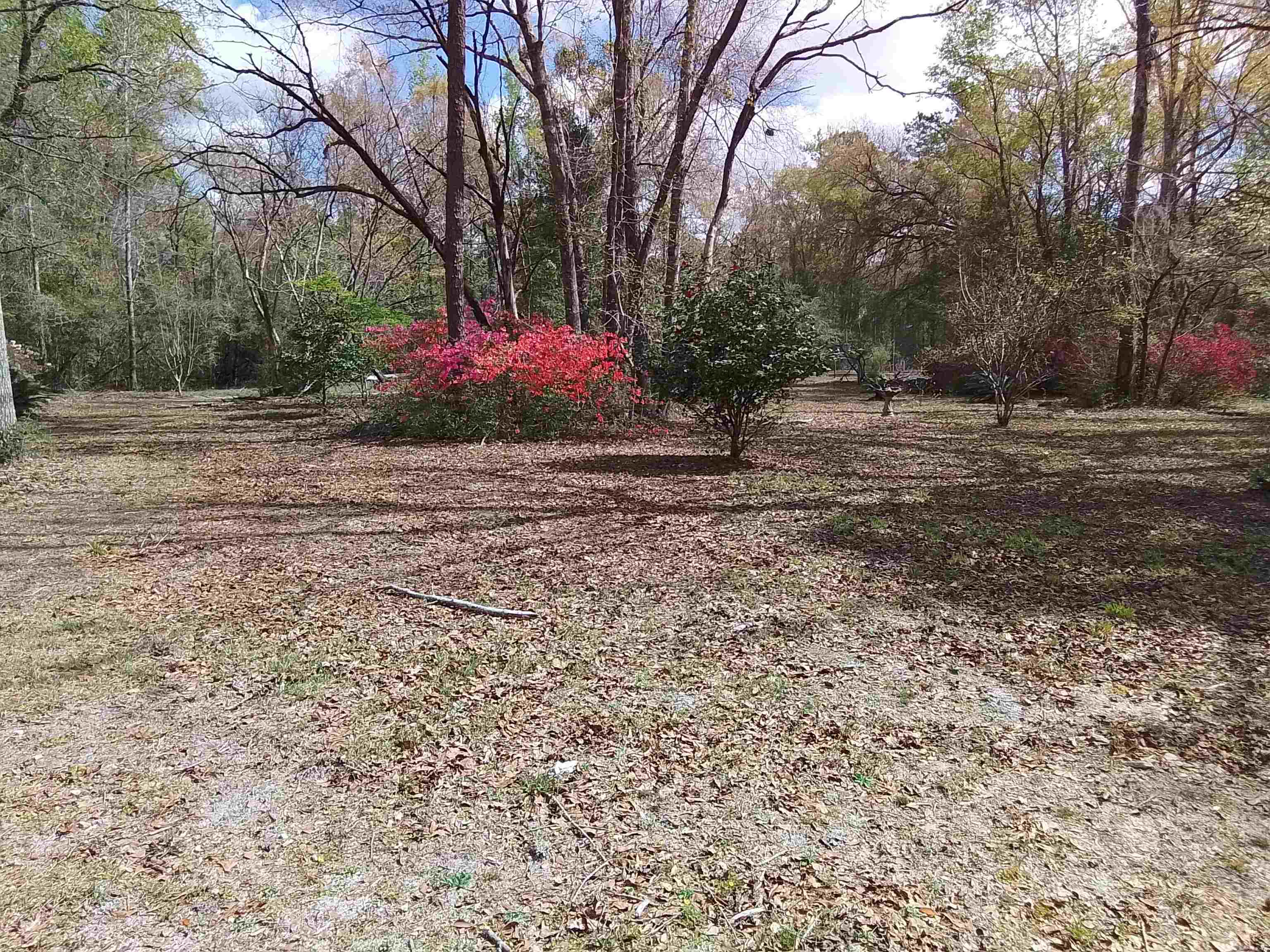 246 Northwood Road,CRAWFORDVILLE,Florida 32327,3 Bedrooms Bedrooms,2 BathroomsBathrooms,Manuf/mobile home,246 Northwood Road,369848