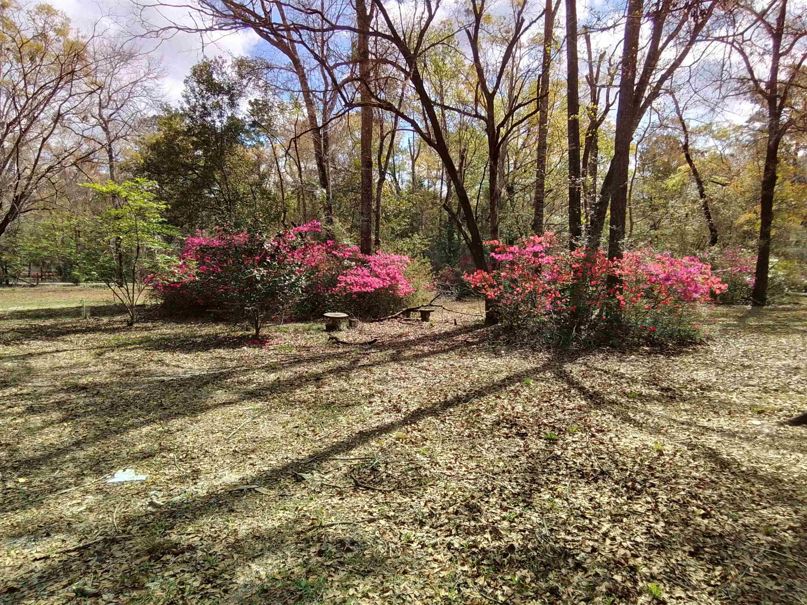 246 Northwood Road,CRAWFORDVILLE,Florida 32327,3 Bedrooms Bedrooms,2 BathroomsBathrooms,Manuf/mobile home,246 Northwood Road,369848