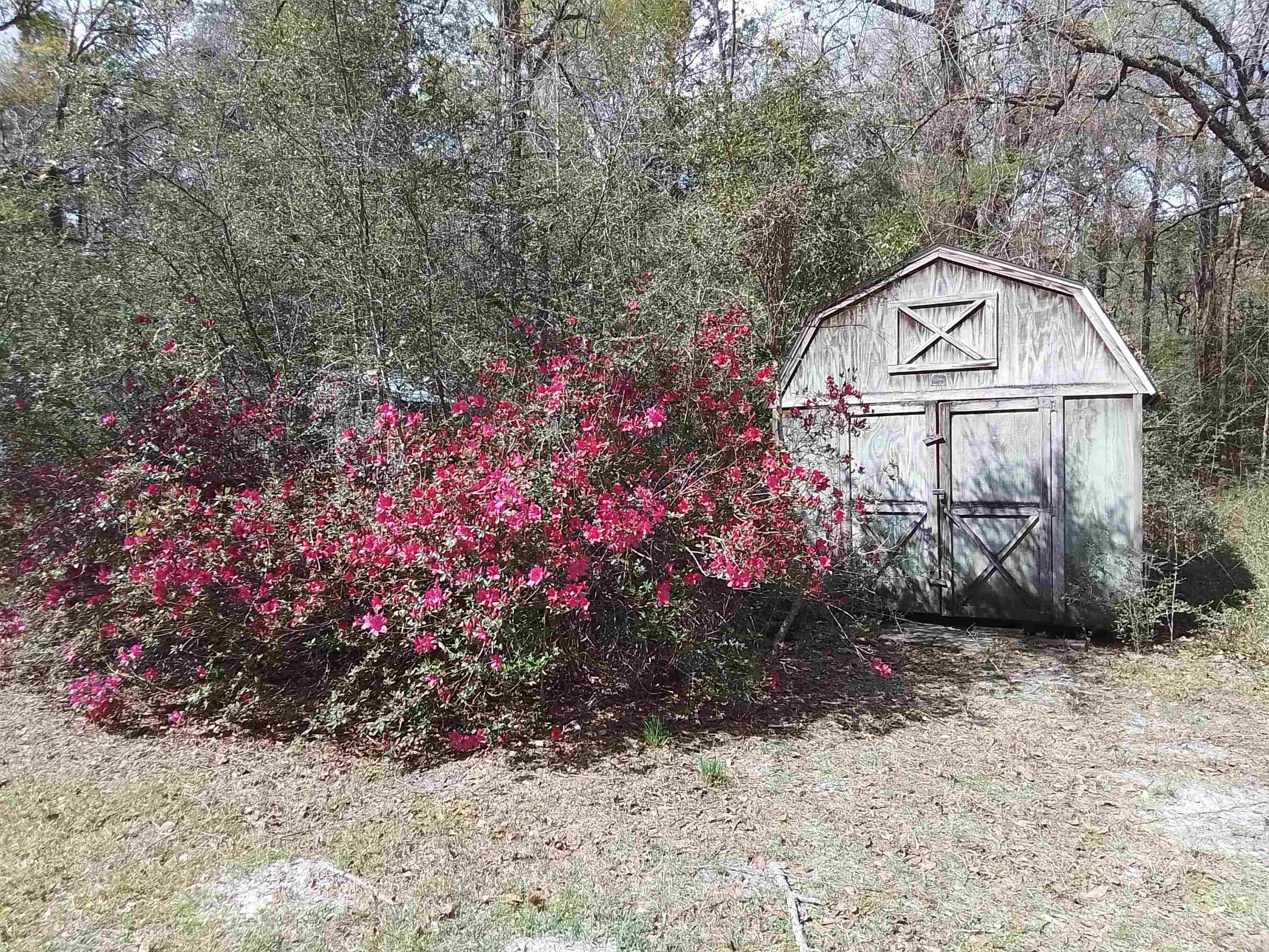 246 Northwood Road,CRAWFORDVILLE,Florida 32327,3 Bedrooms Bedrooms,2 BathroomsBathrooms,Manuf/mobile home,246 Northwood Road,369848