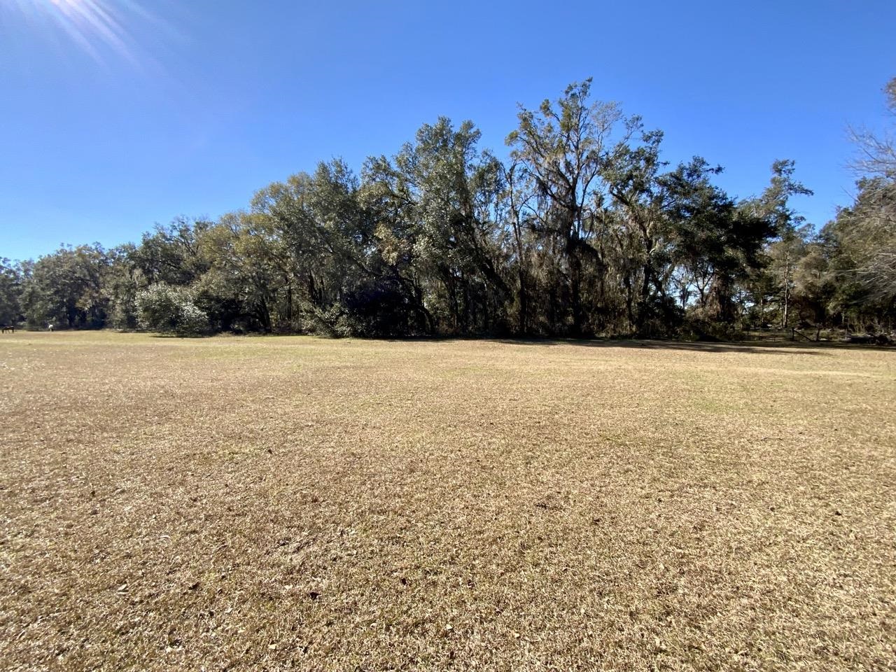 546 English Ivy Trail,Pinetta (Madison County),Florida 32350,3 Bedrooms Bedrooms,2 BathroomsBathrooms,Manuf/mobile home,546 English Ivy Trail,367480