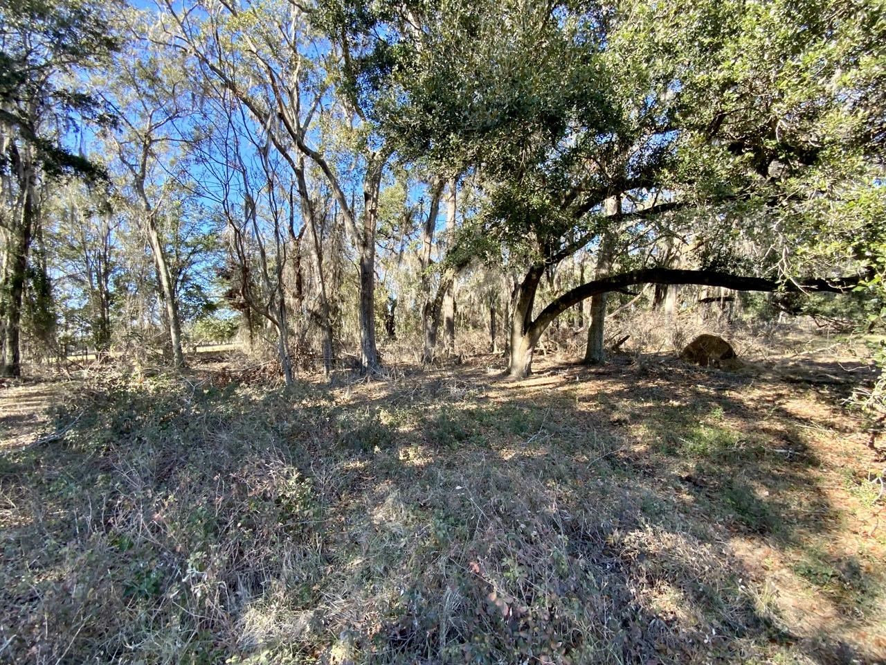 546 English Ivy Trail,Pinetta (Madison County),Florida 32350,3 Bedrooms Bedrooms,2 BathroomsBathrooms,Manuf/mobile home,546 English Ivy Trail,367480