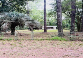 341 Wakulla Springs Road,CRAWFORDVILLE,Florida 32327,2 Bedrooms Bedrooms,1 BathroomBathrooms,Detached single family,341 Wakulla Springs Road,369378