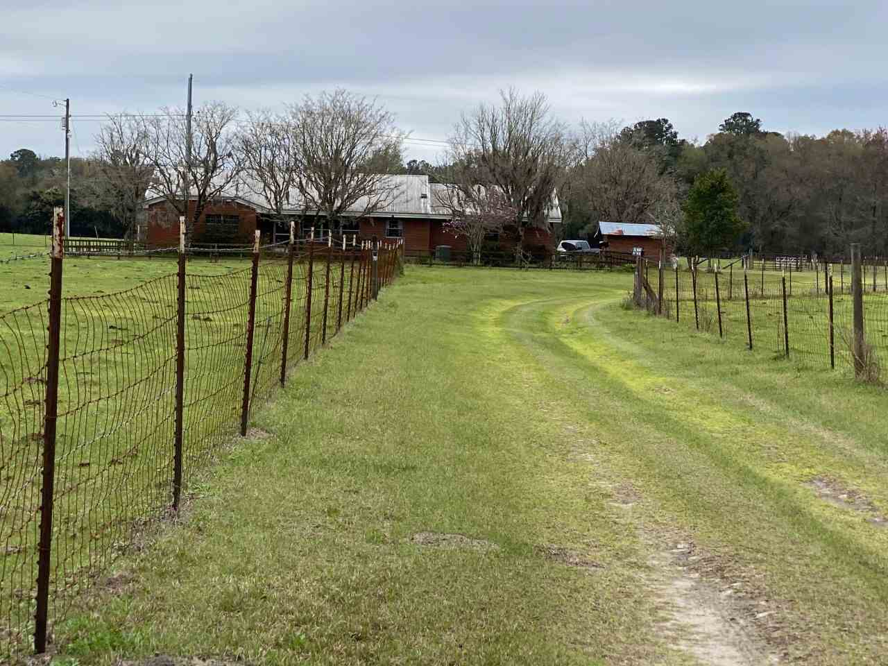 1599 Wright Road,PERRY,Florida 32347,3 Bedrooms Bedrooms,2 BathroomsBathrooms,Detached single family,1599 Wright Road,363359