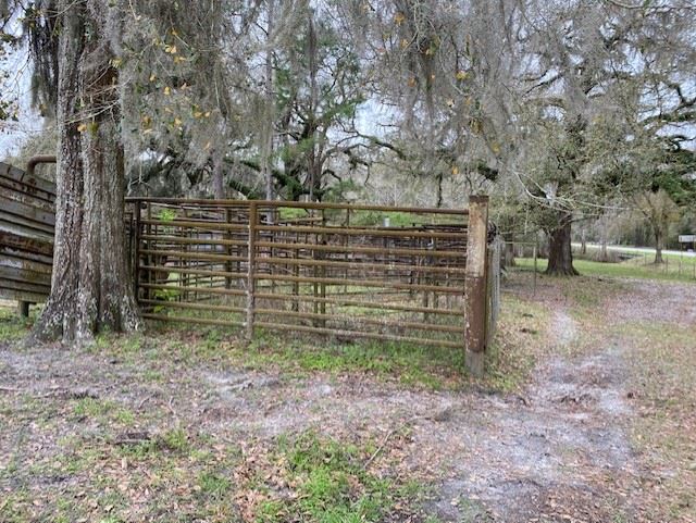 1599 Wright Road,PERRY,Florida 32347,3 Bedrooms Bedrooms,2 BathroomsBathrooms,Detached single family,1599 Wright Road,363359