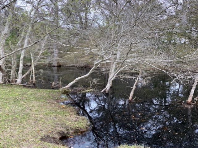 1599 Wright Road,PERRY,Florida 32347,3 Bedrooms Bedrooms,2 BathroomsBathrooms,Detached single family,1599 Wright Road,363359