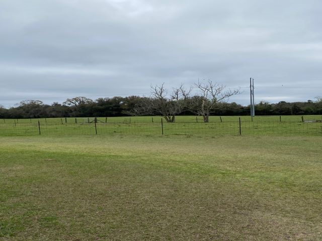 1599 Wright Road,PERRY,Florida 32347,3 Bedrooms Bedrooms,2 BathroomsBathrooms,Detached single family,1599 Wright Road,363359