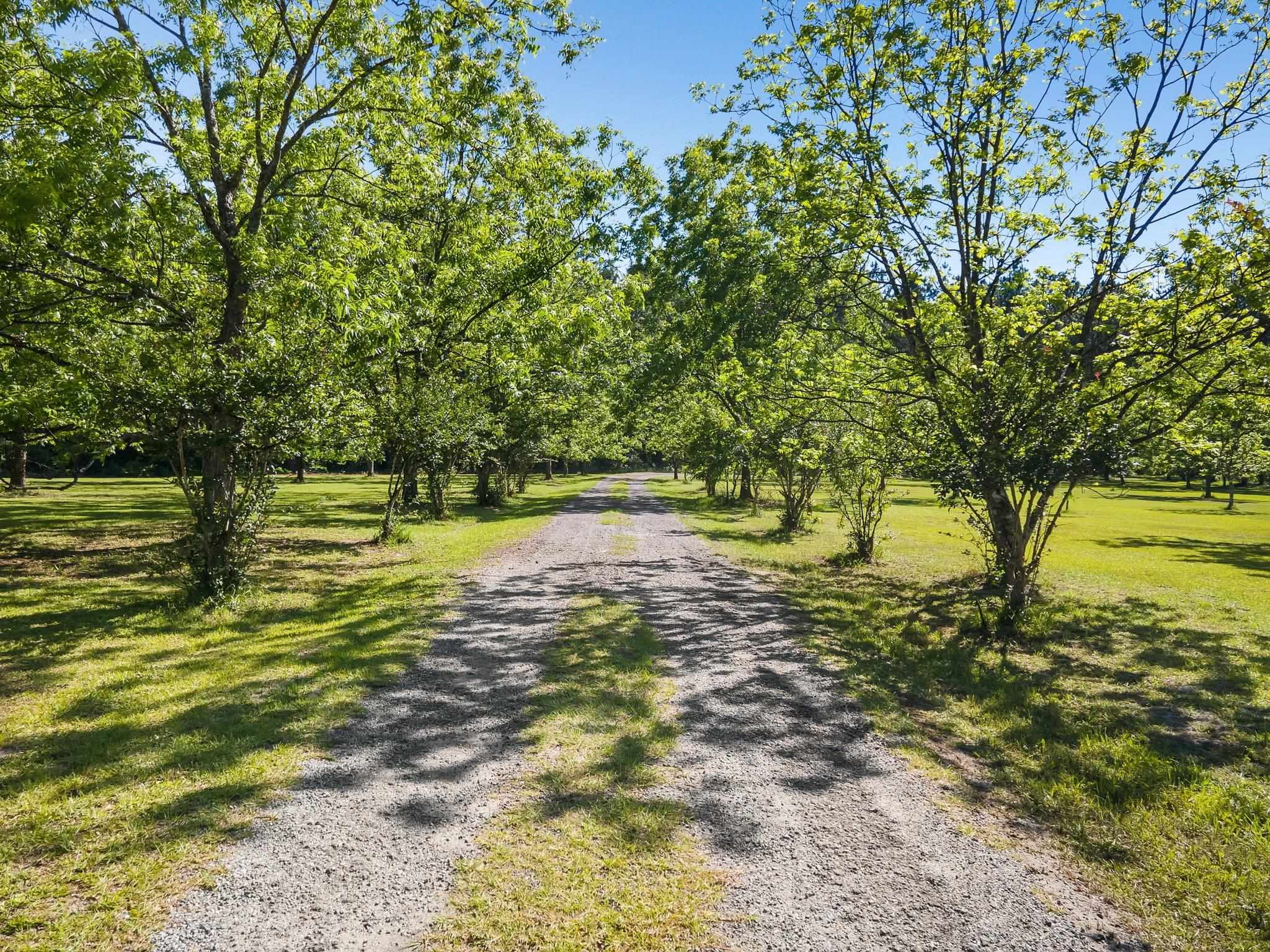 530 Rome Road,MONTICELLO,Florida 32344,3 Bedrooms Bedrooms,2 BathroomsBathrooms,Detached single family,530 Rome Road,366094