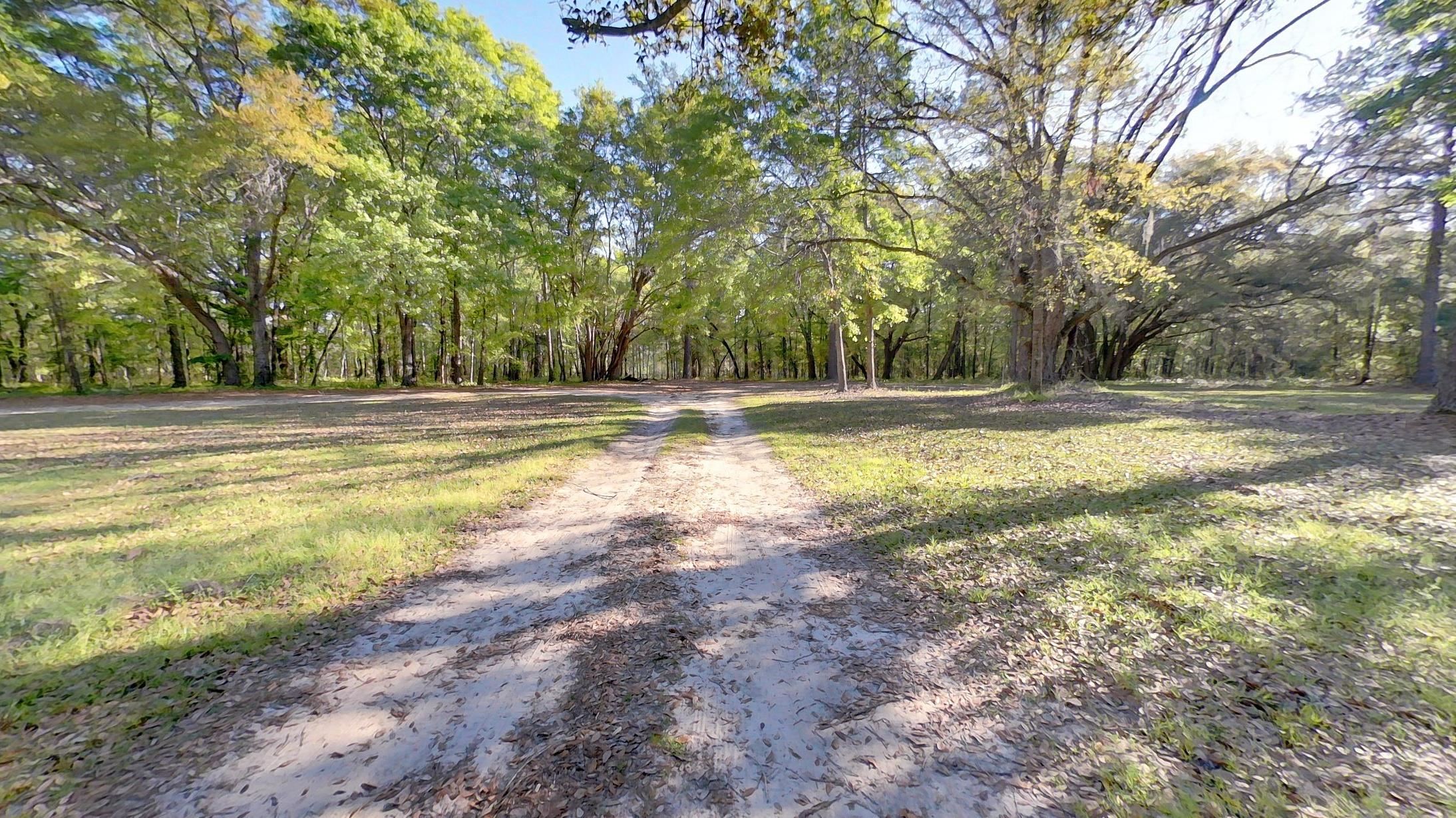 10390 Veterans Memorial Drive,TALLAHASSEE,Florida 32309,4 Bedrooms Bedrooms,2 BathroomsBathrooms,Manuf/mobile home,10390 Veterans Memorial Drive,369881