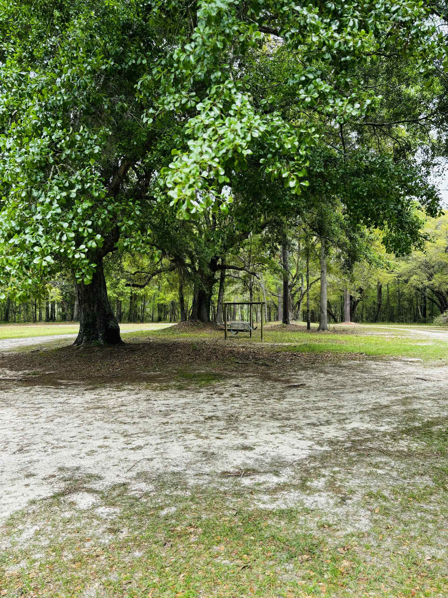 10390 Veterans Memorial Drive,TALLAHASSEE,Florida 32309,4 Bedrooms Bedrooms,2 BathroomsBathrooms,Manuf/mobile home,10390 Veterans Memorial Drive,369881