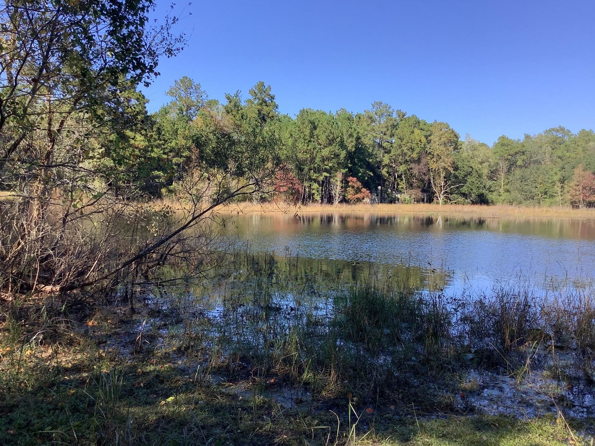 955 Still Road,MONTICELLO,Florida 32344,3 Bedrooms Bedrooms,2 BathroomsBathrooms,Detached single family,955 Still Road,366175