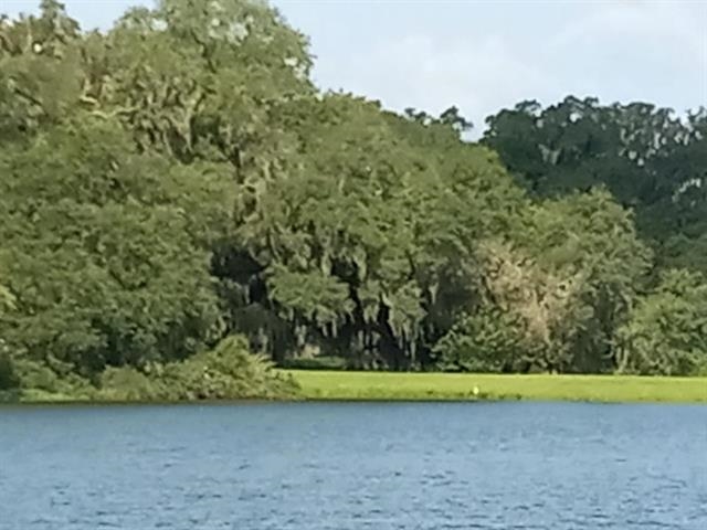 4299 Four Oaks Boulevard Boulevard,TALLAHASSEE,Florida 32311,3 Bedrooms Bedrooms,2 BathroomsBathrooms,Townhouse,4299 Four Oaks Boulevard Boulevard,367567