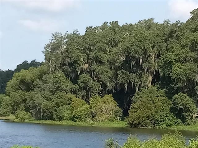 4299 Four Oaks Boulevard Boulevard,TALLAHASSEE,Florida 32311,3 Bedrooms Bedrooms,2 BathroomsBathrooms,Townhouse,4299 Four Oaks Boulevard Boulevard,367567