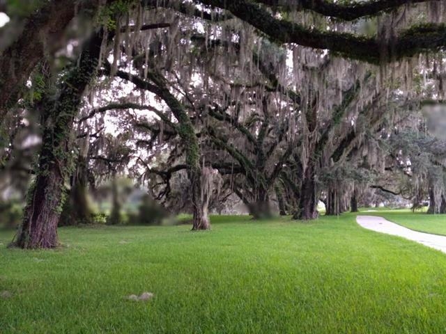 4299 Four Oaks Boulevard Boulevard,TALLAHASSEE,Florida 32311,3 Bedrooms Bedrooms,2 BathroomsBathrooms,Townhouse,4299 Four Oaks Boulevard Boulevard,367567